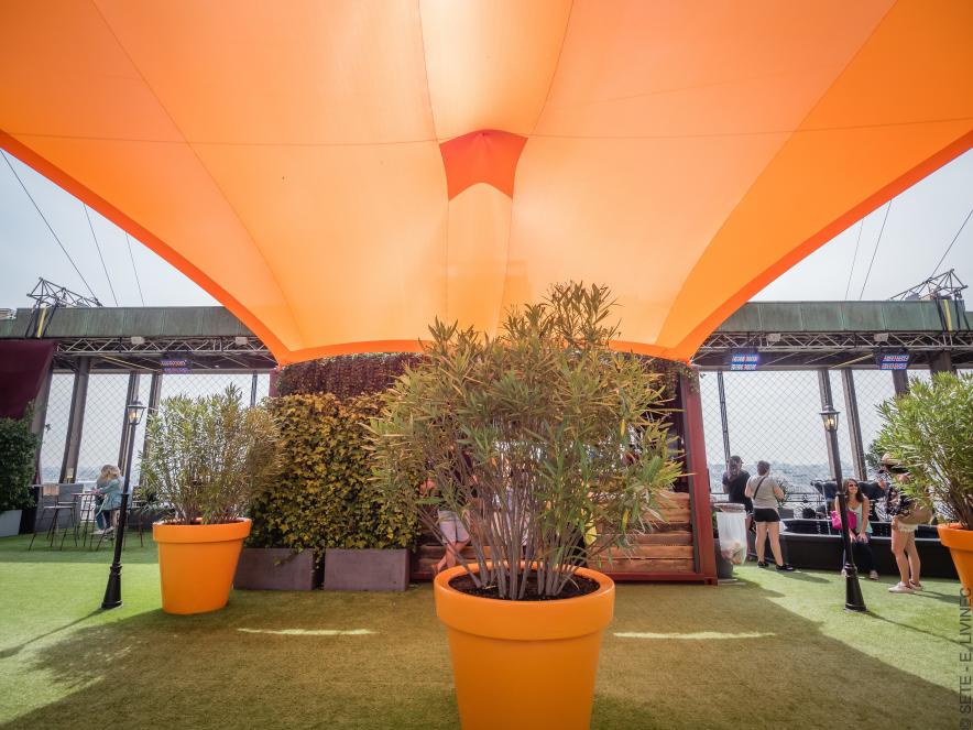rooftop garden 
